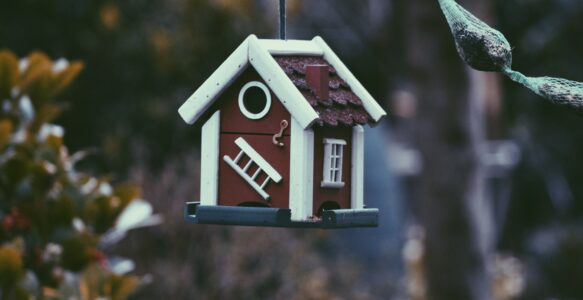 企业家离婚中的境外家族信托追索：当信托实质为虚假安排时