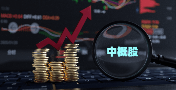 中概股实控人转移资产，如何通过跨境清盘追回？CO公司启示