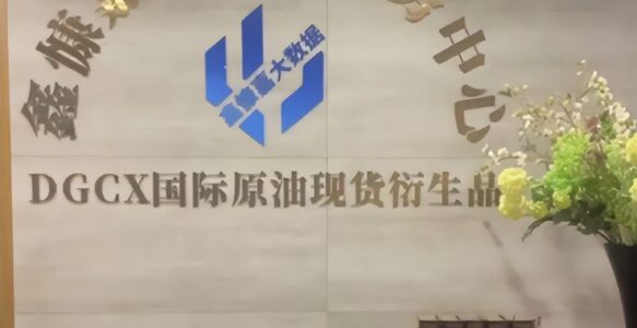 鑫慷嘉立案后为何仍难追回？国内程序的现实边界